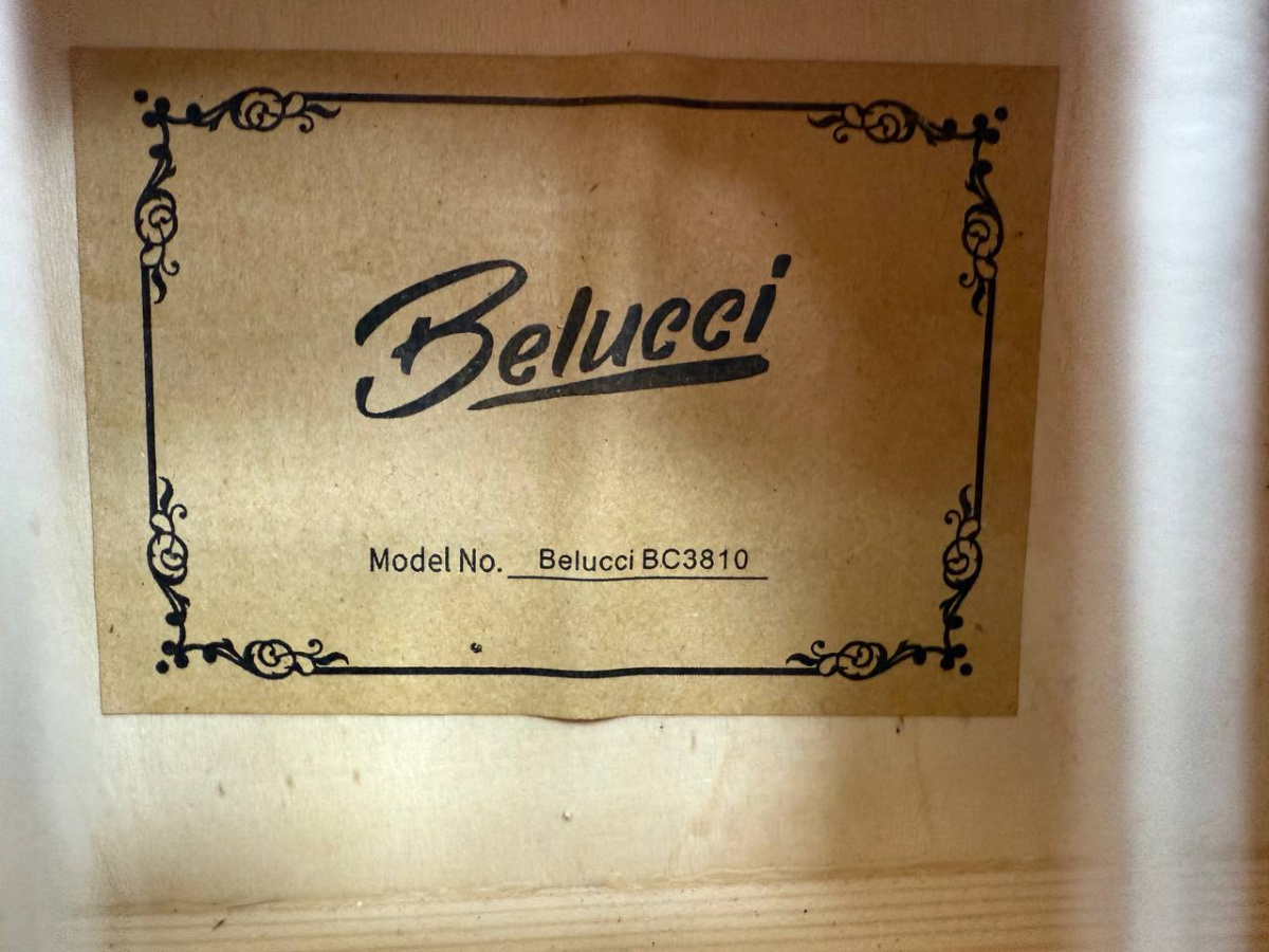 Гитара акустическая Belucci BC3810 SB