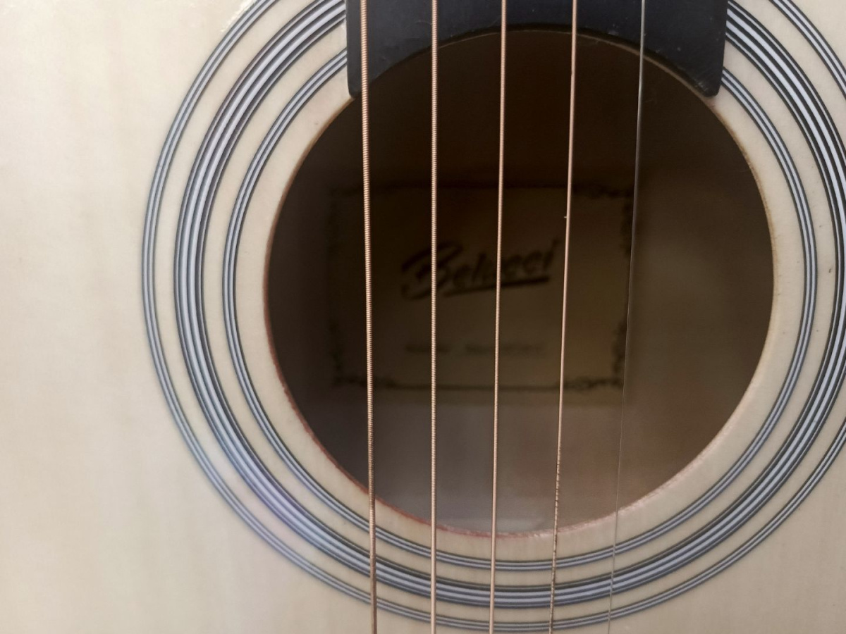 Гитара акустическая Belucci BC-3810