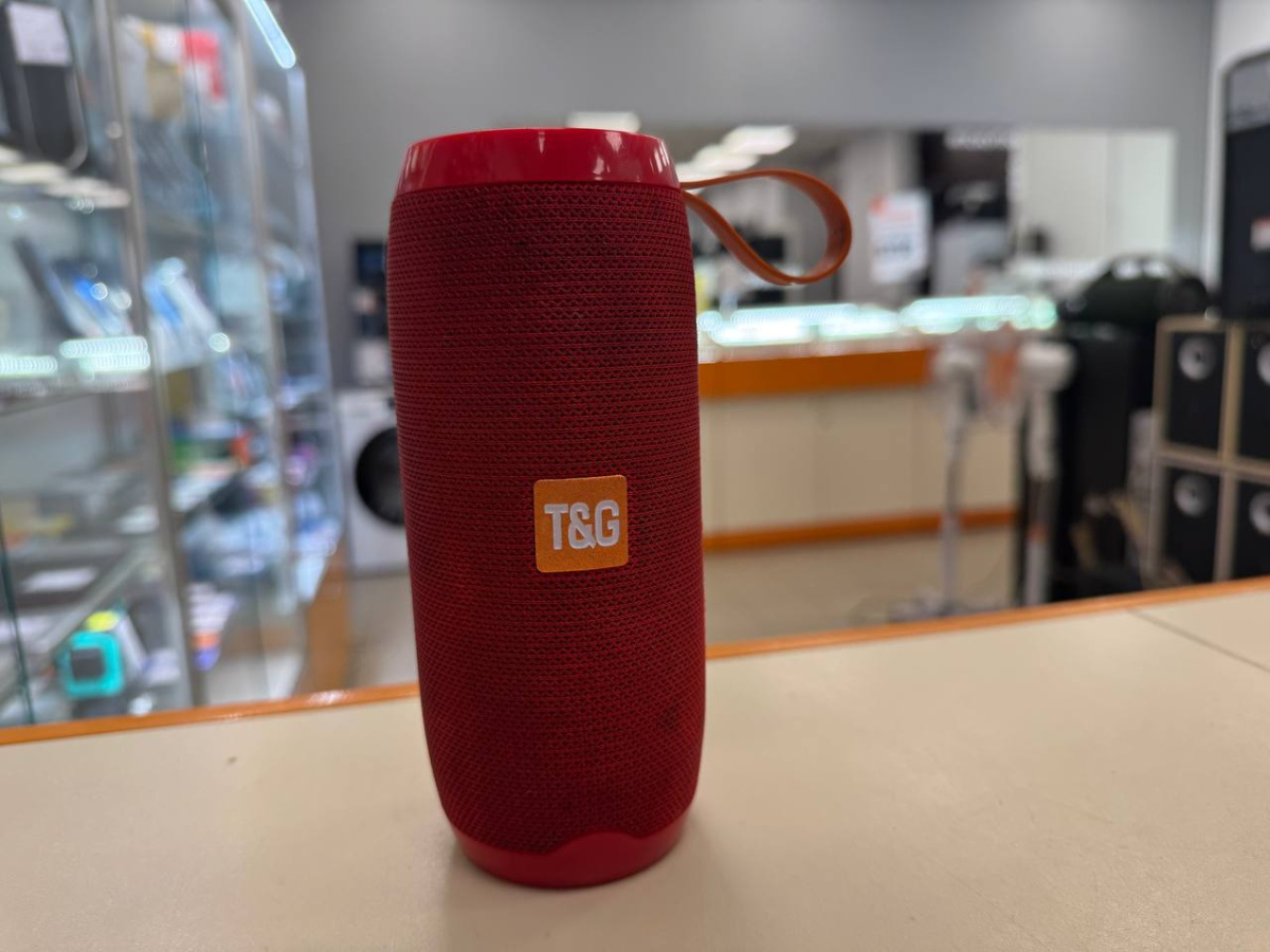Портативная акустика T&G TG106