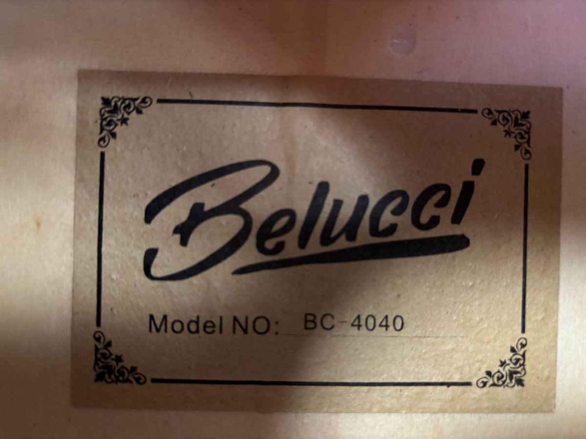 Гитара акустическая Belucci BC4040 (Skelet)