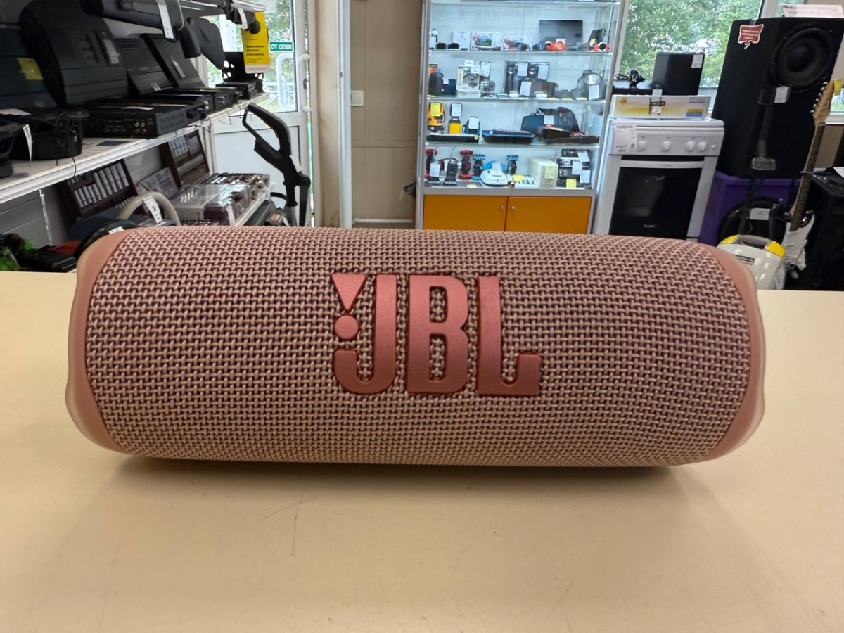 Портативная акустика JBL Flip 6;