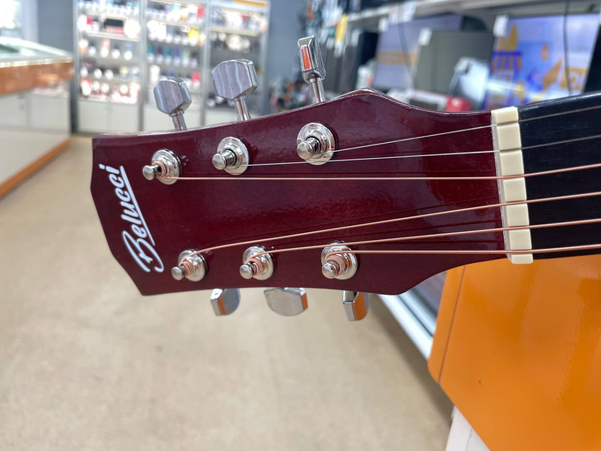 Гитара акустическая Belucci BC3810 SB