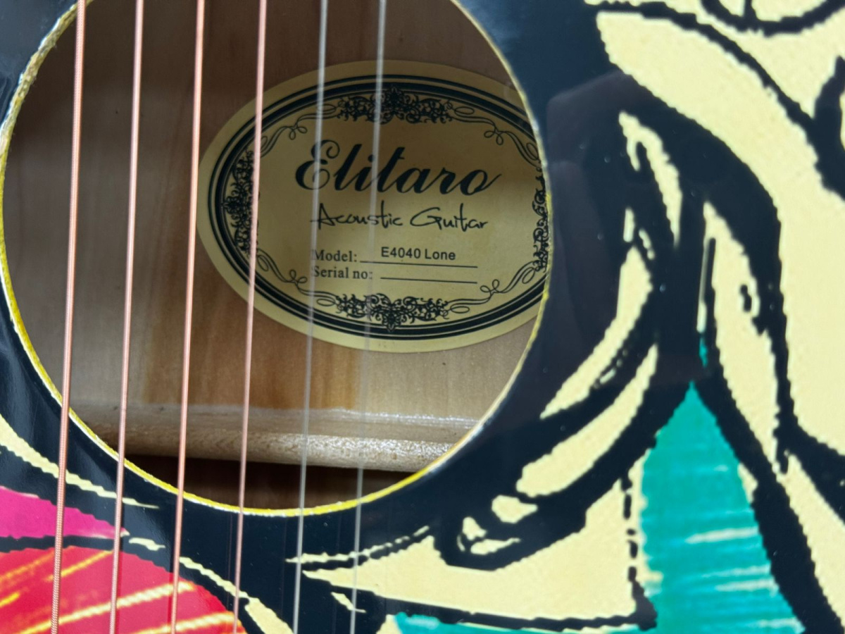 Гитара акустическая Elitaro E4040 Lone