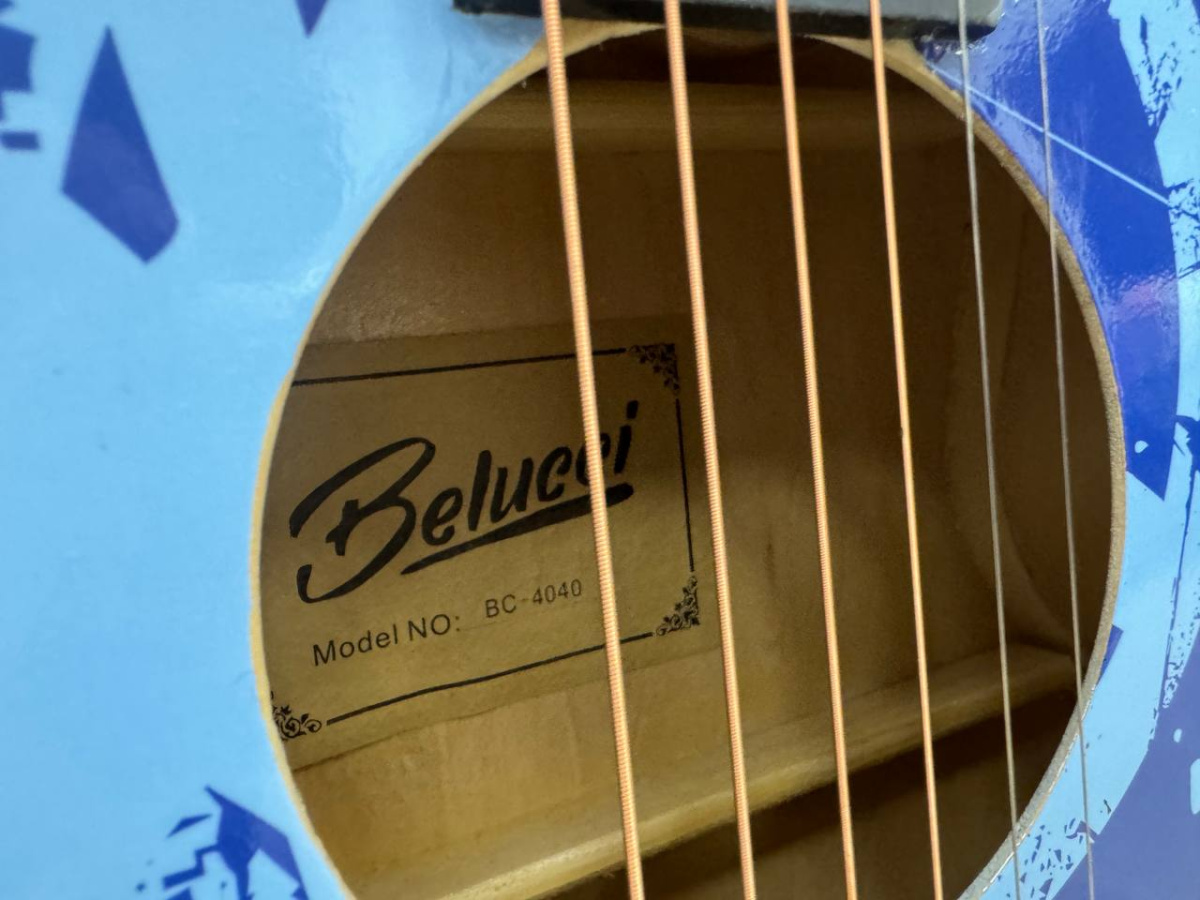 Гитара акустическая Belucci BC4040 (Skelet)