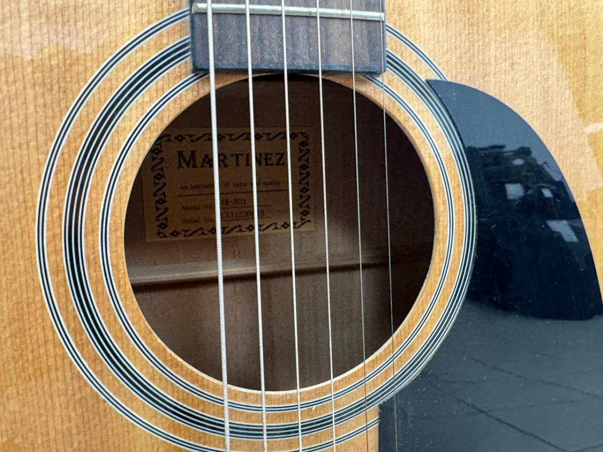 Гитара акустическая Martinez FAW-801