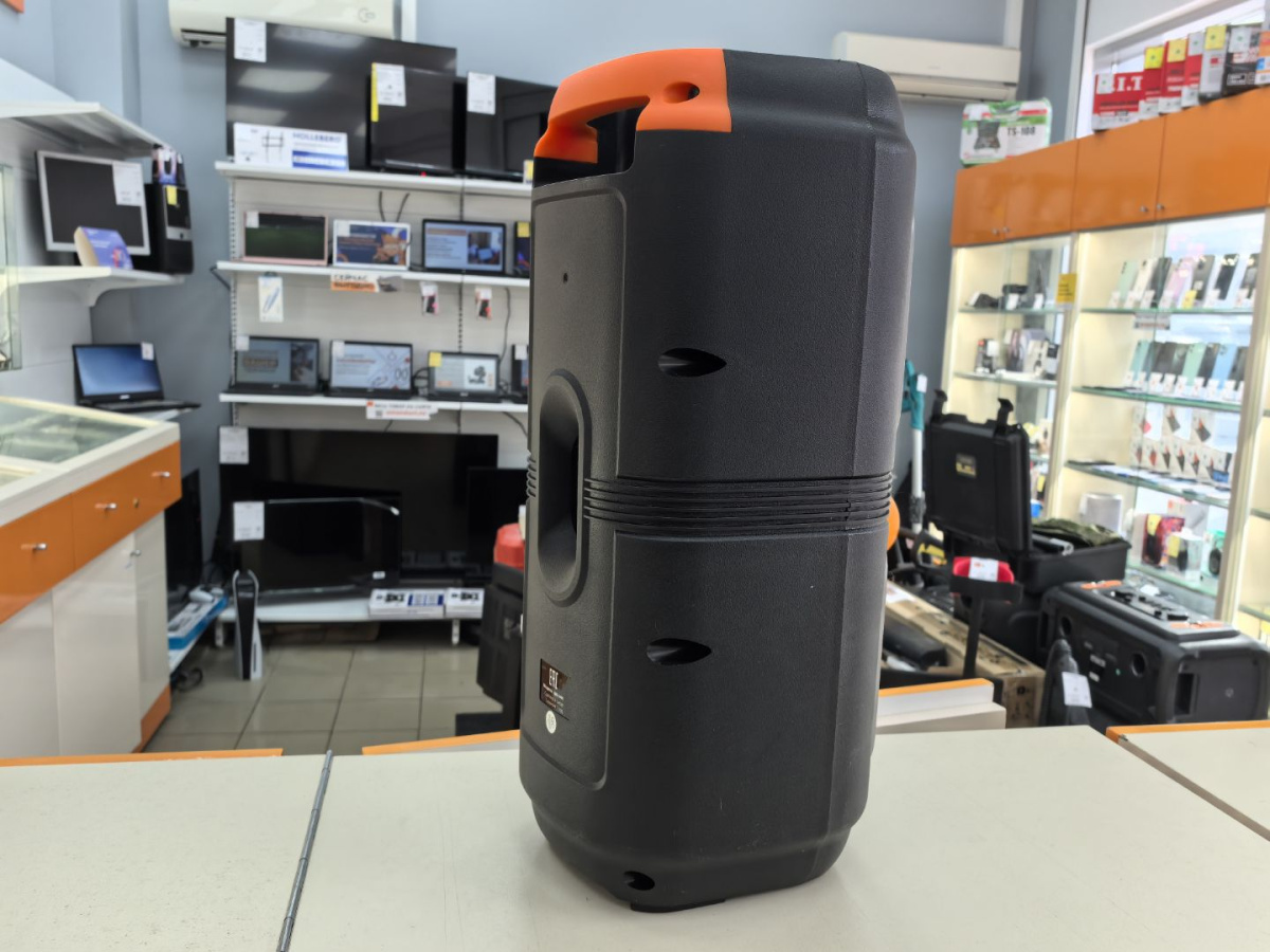 Портативная акустика SMARTBUY SBS-5490