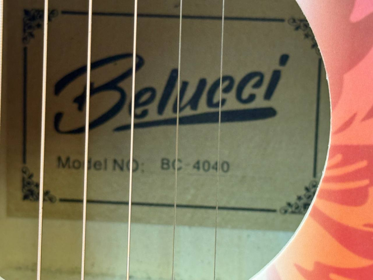 Гитара акустическая Belucci BC4040 (Devil)