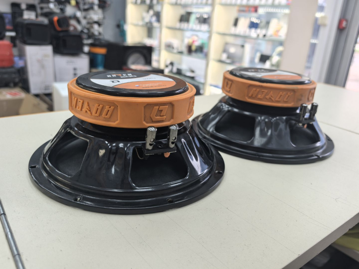 Автоакустика передняя DL Audio Raven 200