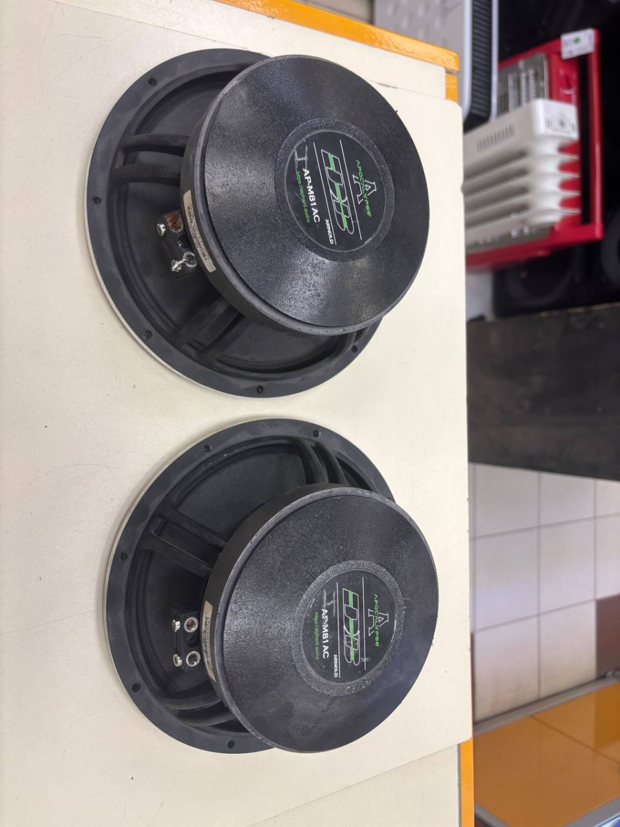 Автоакустика передняя Apocalypse AP-M81AC