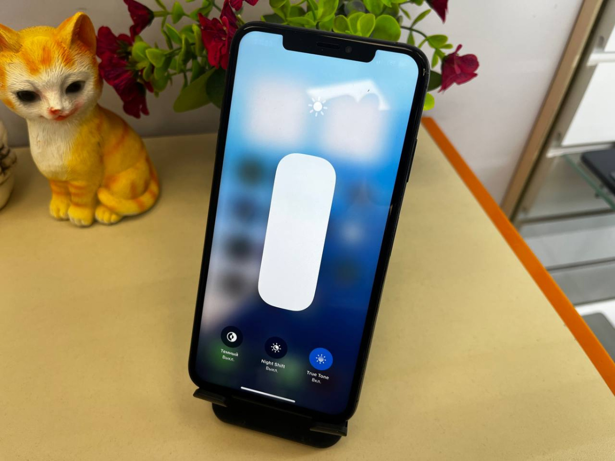 Смартфон Apple iPhone Xs Max 256Gb