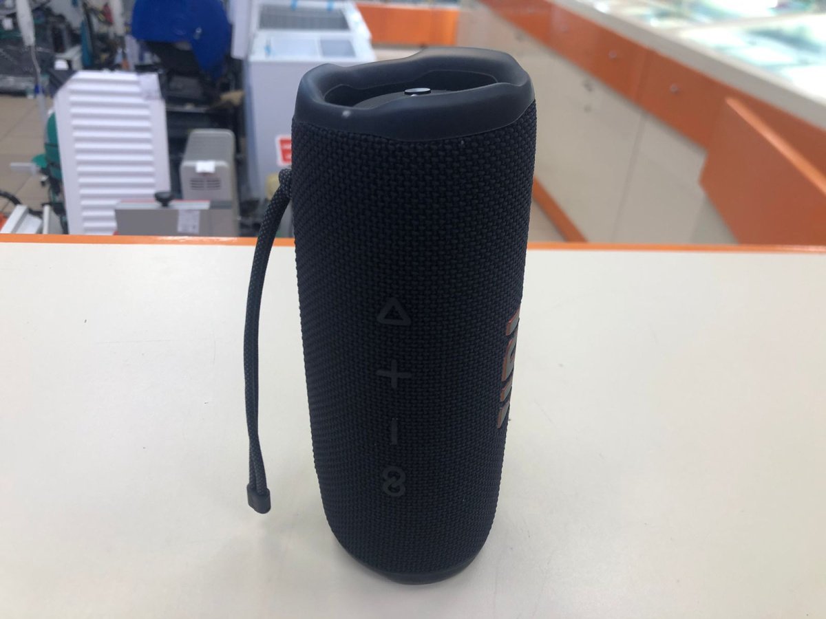 Портативная акустика JBL Flip 6;