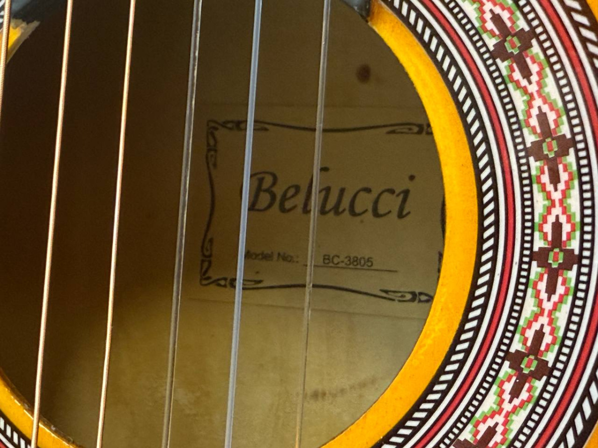 Гитара акустическая Belucci BC3805 SB