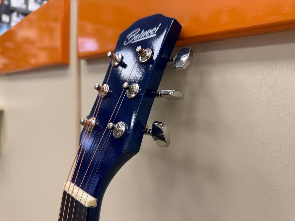 Гитара акустическая Belucci BC4040 (Skelet)