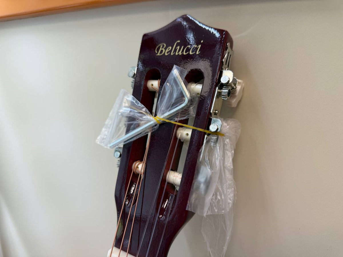 Гитара акустическая Belucci BC3805 SB