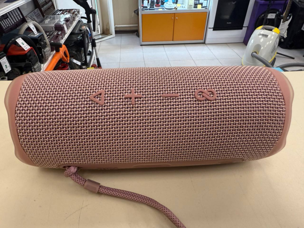Портативная акустика JBL Flip 6;