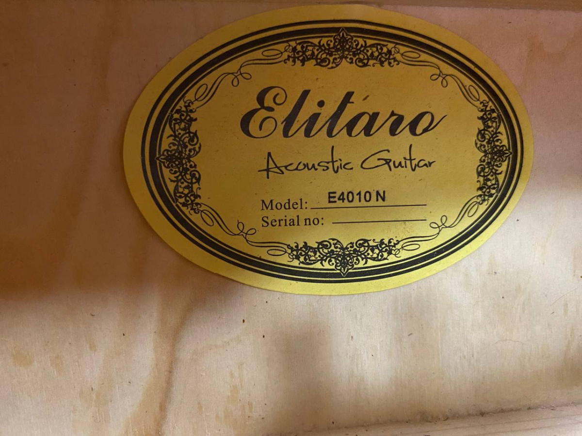Гитара акустическая Elitaro E4010 N