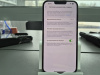 Смартфон Apple iPhone 13 Pro Max 256Gb