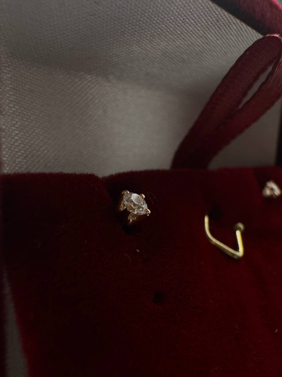 СПУС585 СЕРЬГИ ПУСЕТЫ (Au 585)