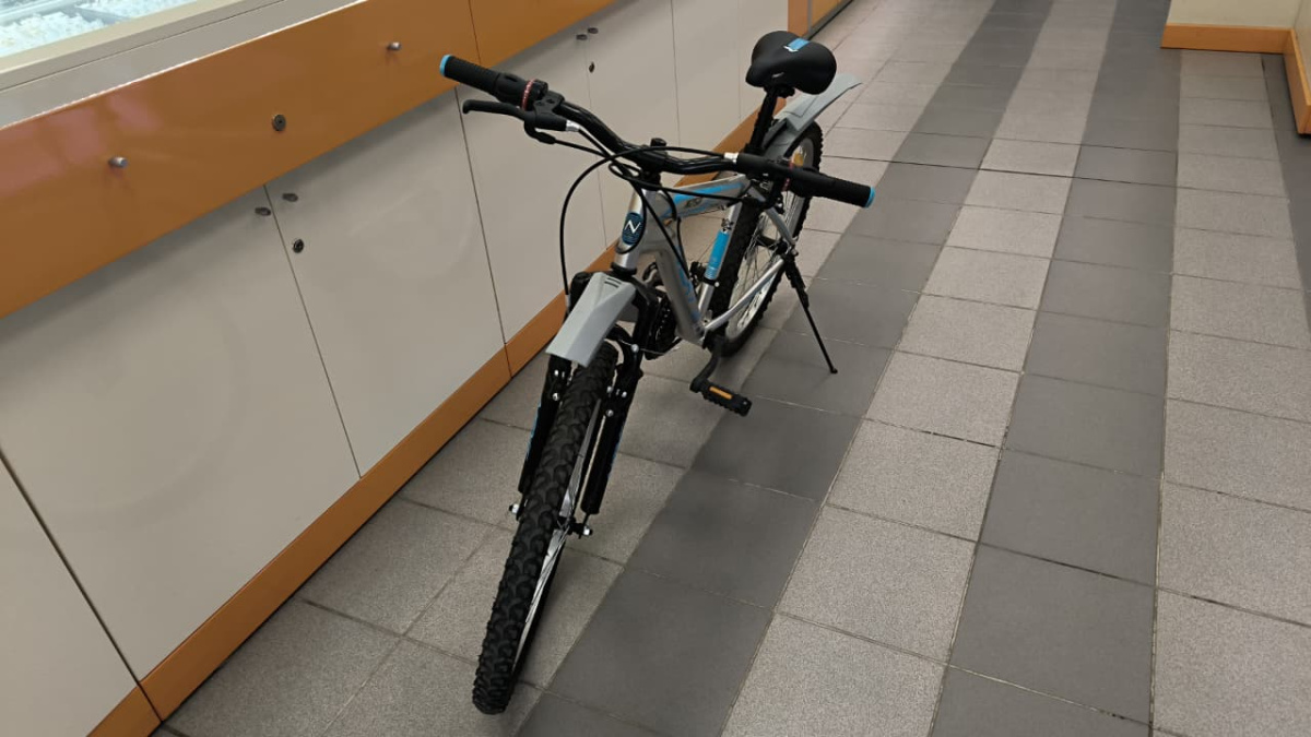 Велосипед NEXT Nextbike N250
