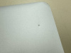 Ноутбук Apple MacBook Air 13 дюймов (2015) A1466