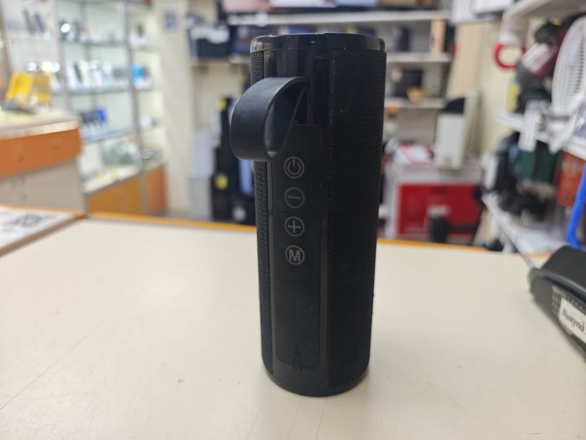 Портативная акустика T&G 113