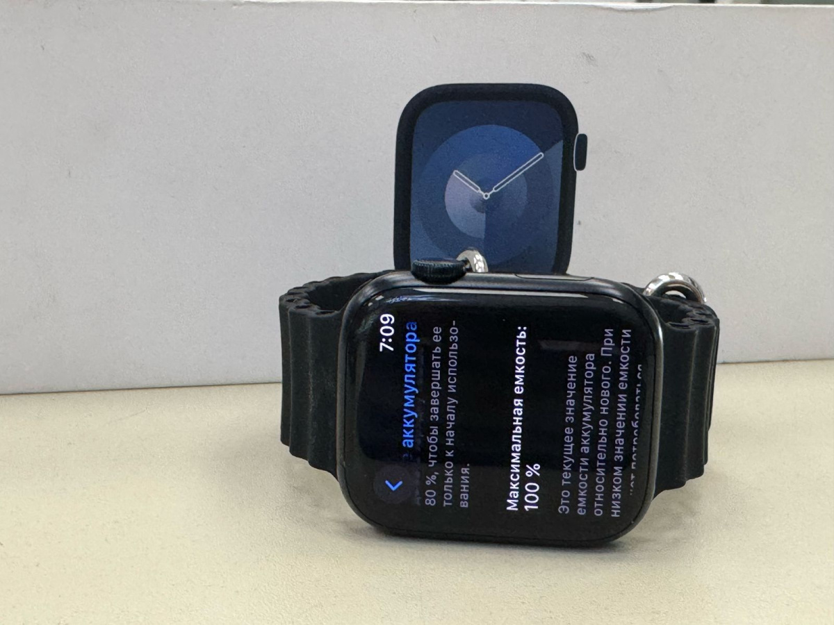 Смарт-часы Apple Watch Series 9 45mm