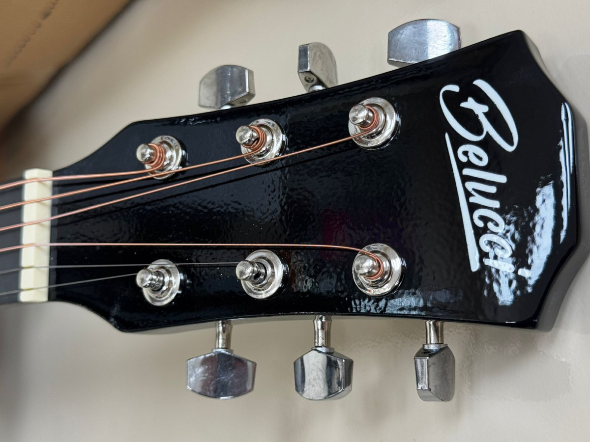 Гитара акустическая Belucci BC3810 BK FULL