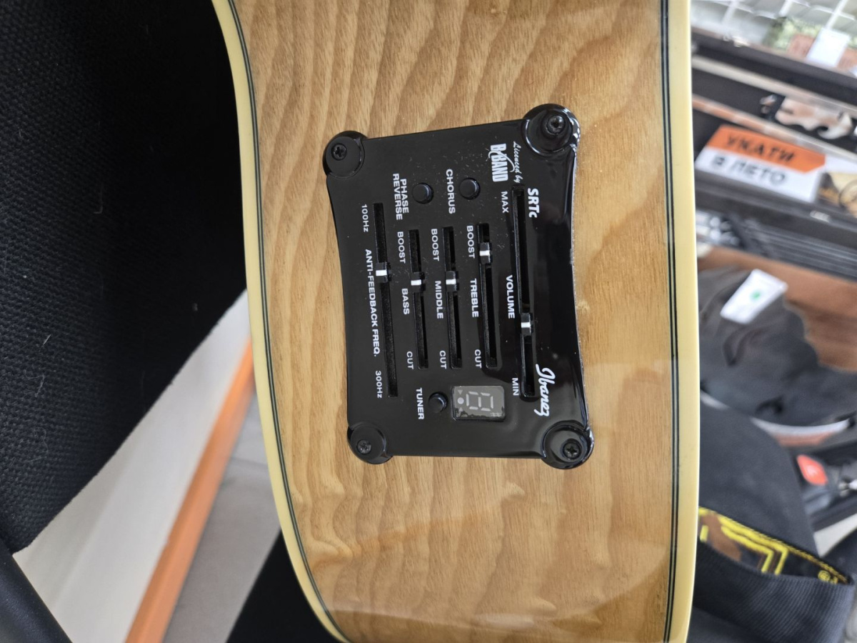 Гитара акустическая Ibanez EW2012ASE