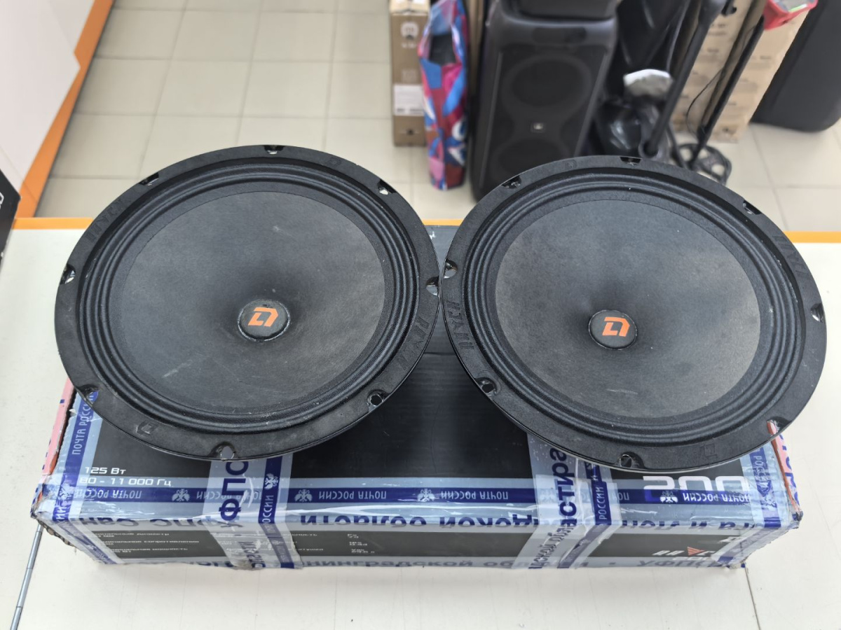 Автоакустика передняя DL Audio Raven 200