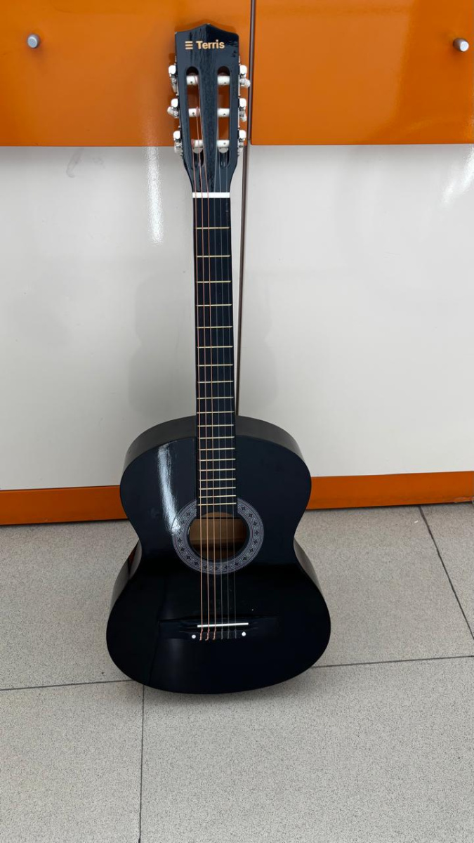 Акустическая гитара Terris ТС-3801A SB