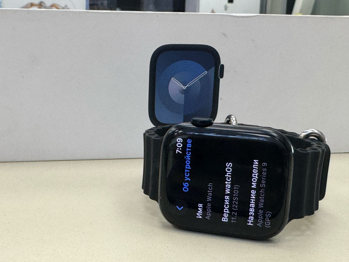 Смарт-часы Apple Watch Series 9 45mm